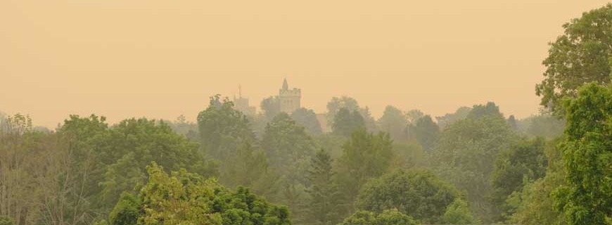Wildfire smoke casts a yellowish haze through an inner-city forest in eastern Ontario Canada during summer 2025 with buildings visible on the hazy horizon.